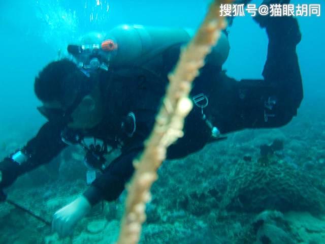 优秀案例!临沂市市场监督管理局这一工作获评!